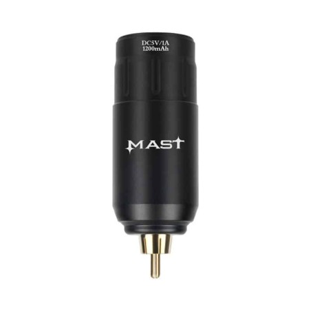 Mast Battery Power Supply P113