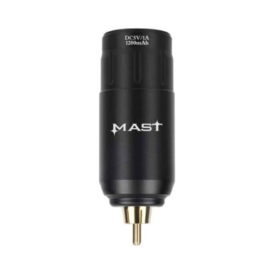 Mast Battery Power Supply P113
