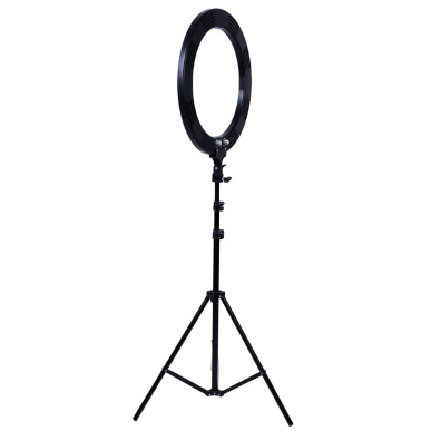 Adjustable LED Lamp (Ring Shape)