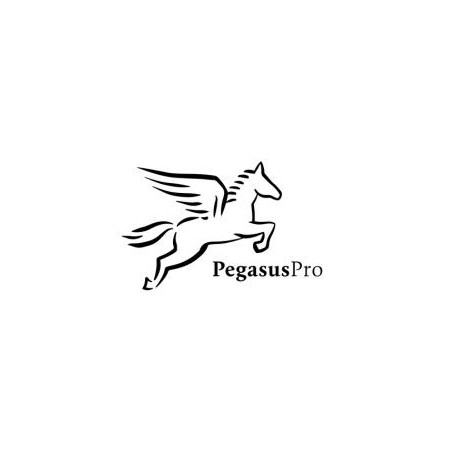 Pegasus Pro